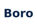 Logo dewelopera: BORO